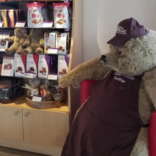 U-swirl - New Project 2025 05 15T155858.867 Minimalist kitchen design with natural lighting