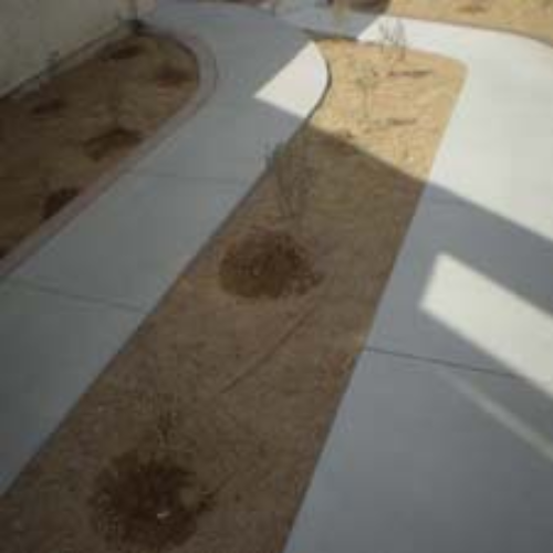 Modern office renovation concept